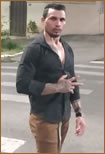 Indio Dotado