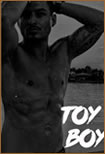 Toy Boy