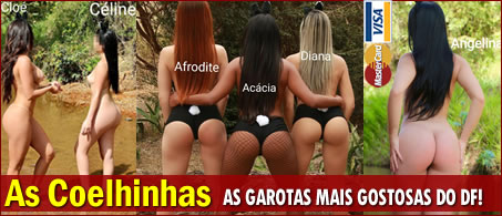 As Coelhinhas